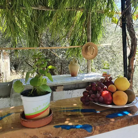 Holiday home Casa Papi